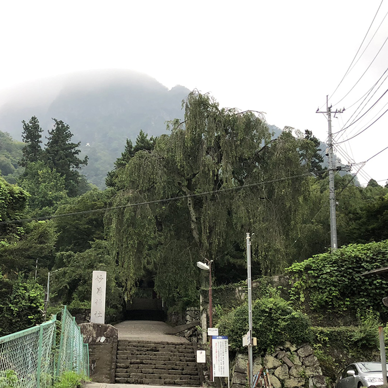 写真の説明を入れます