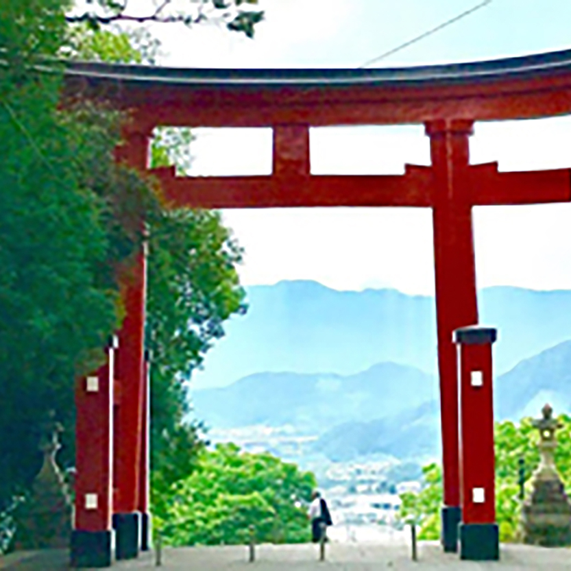 写真の説明を入れます