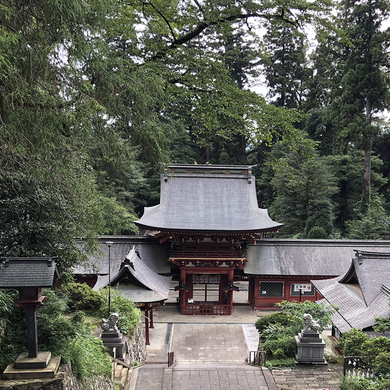 写真の説明を入れます
