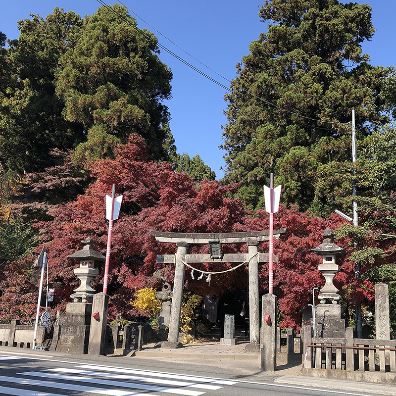 写真の説明を入れます