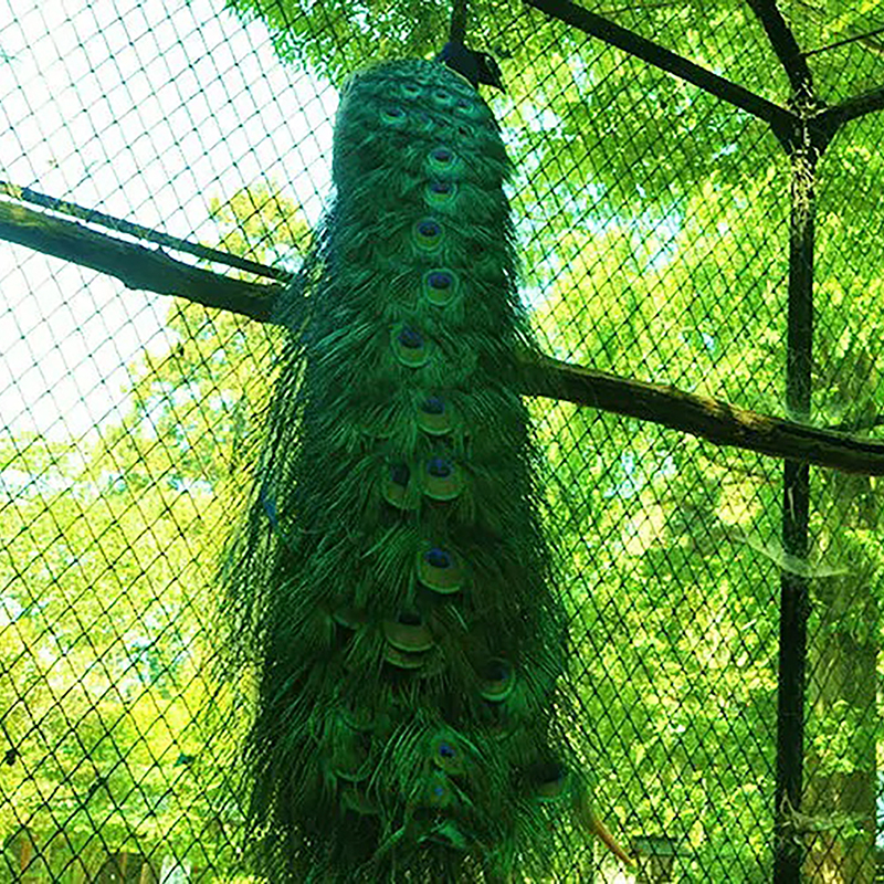 写真の説明を入れます