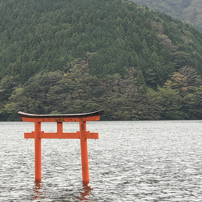 写真の説明を入れます