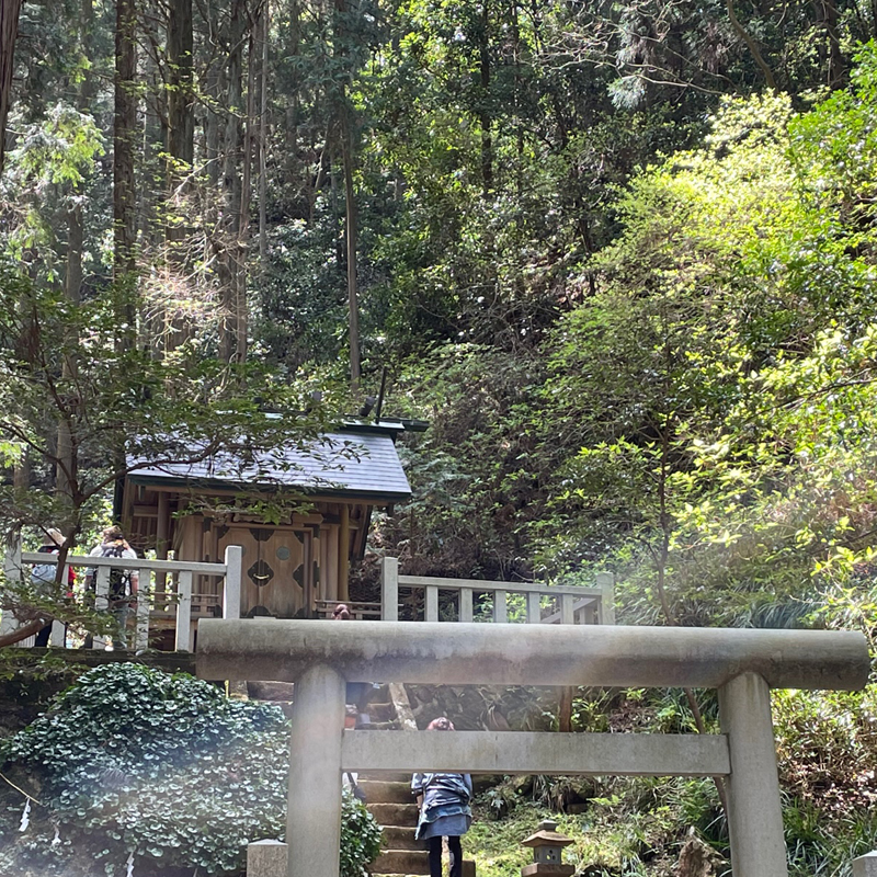 写真の説明を入れます