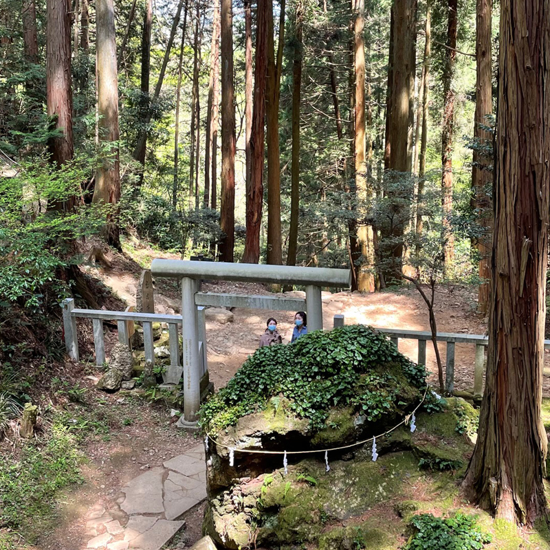 写真の説明を入れます