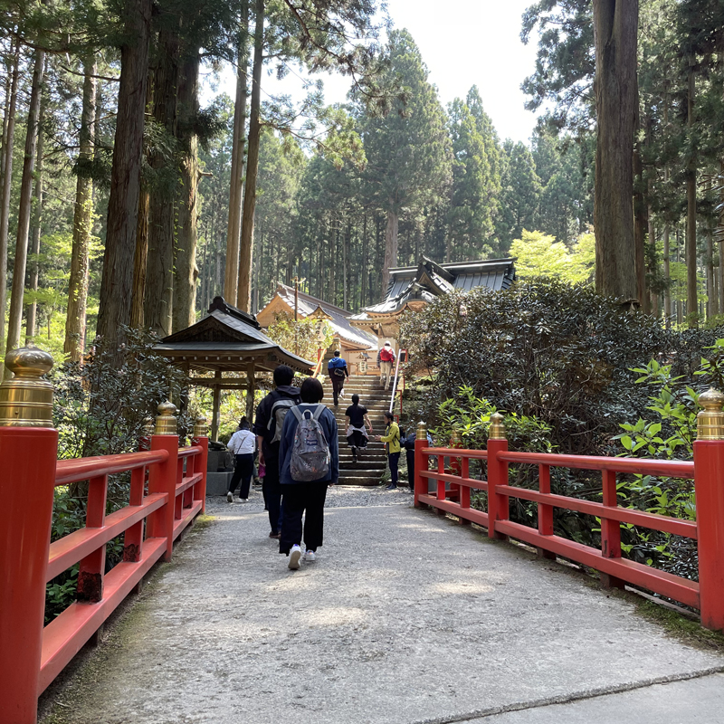 写真の説明を入れます