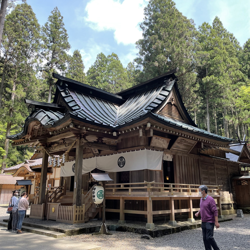 写真の説明を入れます