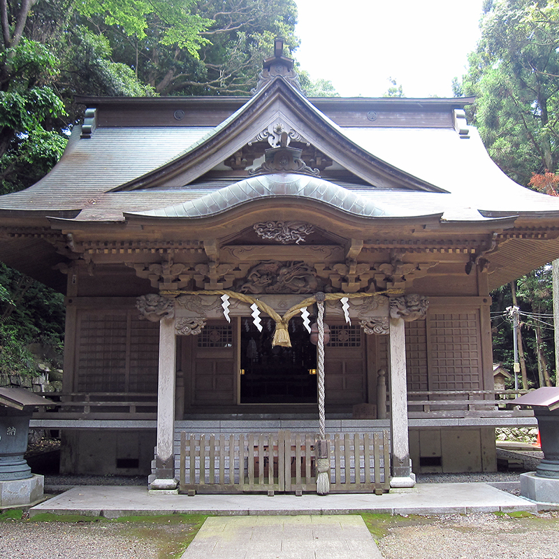 写真の説明を入れます