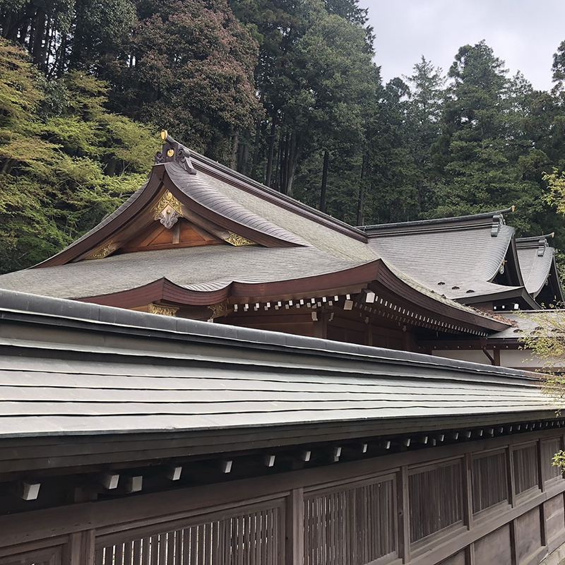 写真の説明を入れます