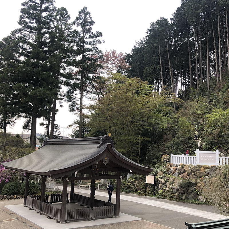 写真の説明を入れます
