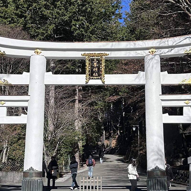 写真の説明を入れます
