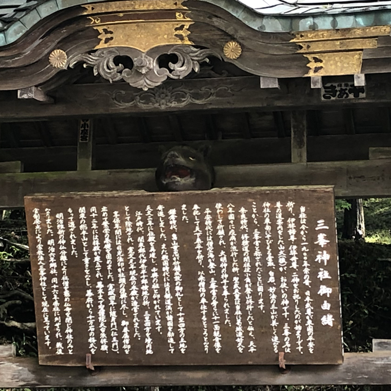写真の説明を入れます