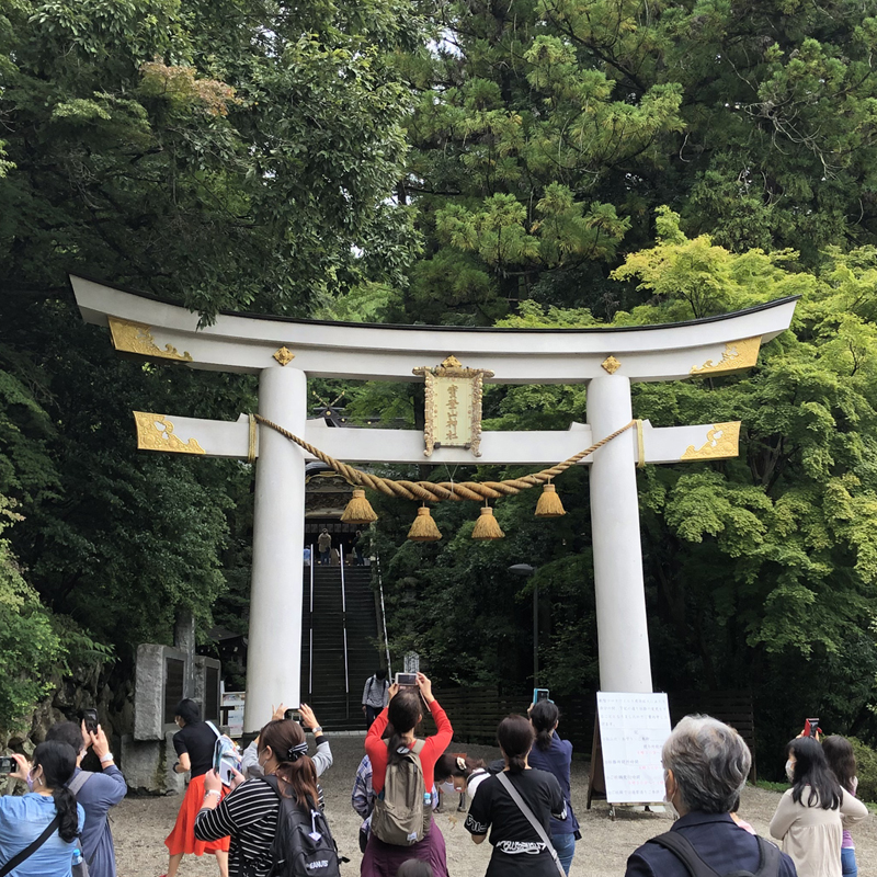 写真の説明を入れます
