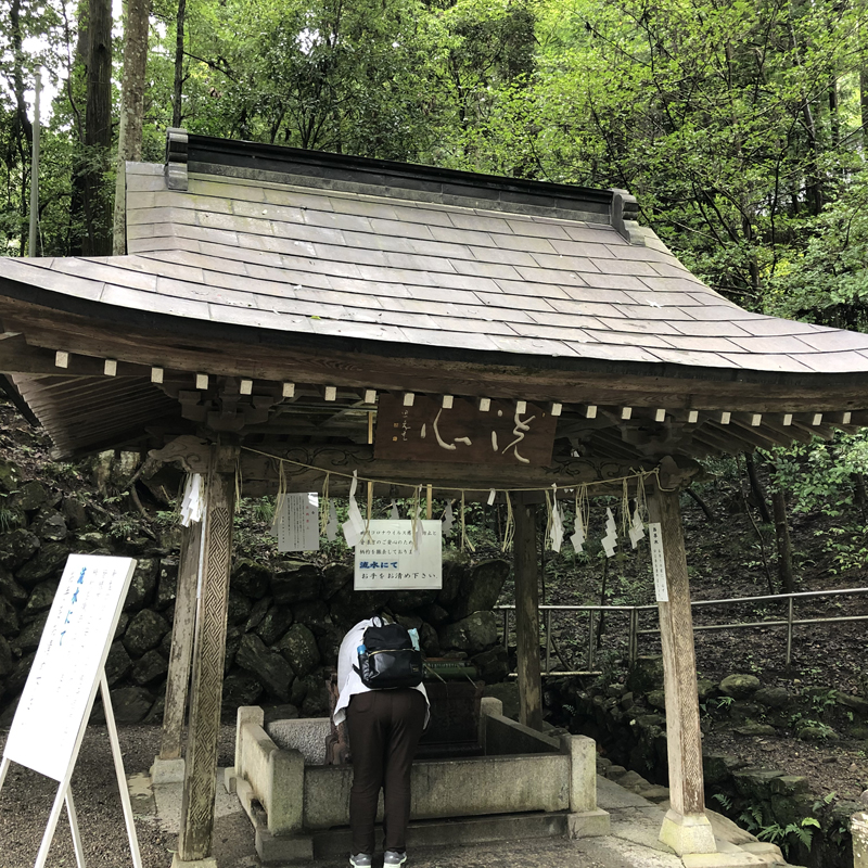 写真の説明を入れます