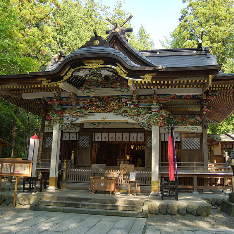 写真の説明を入れます