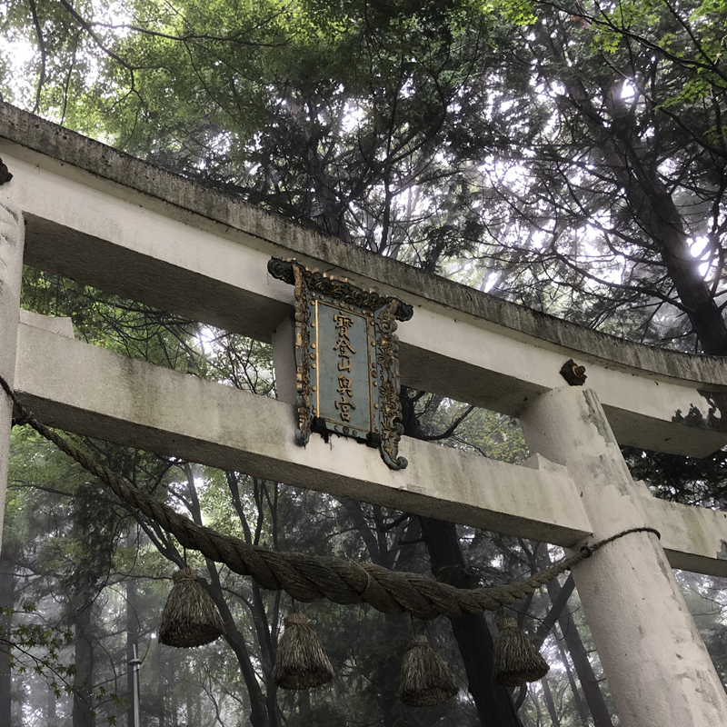 写真の説明を入れます