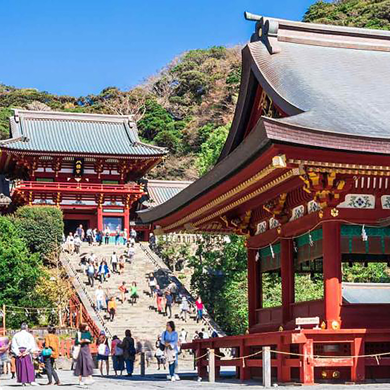 写真の説明を入れます