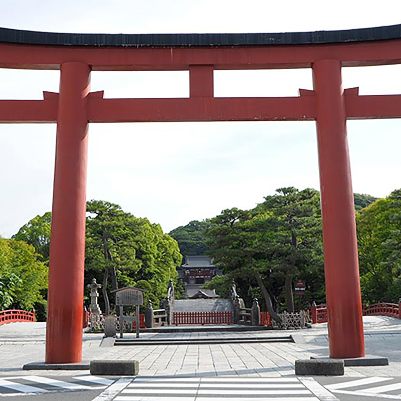 写真の説明を入れます