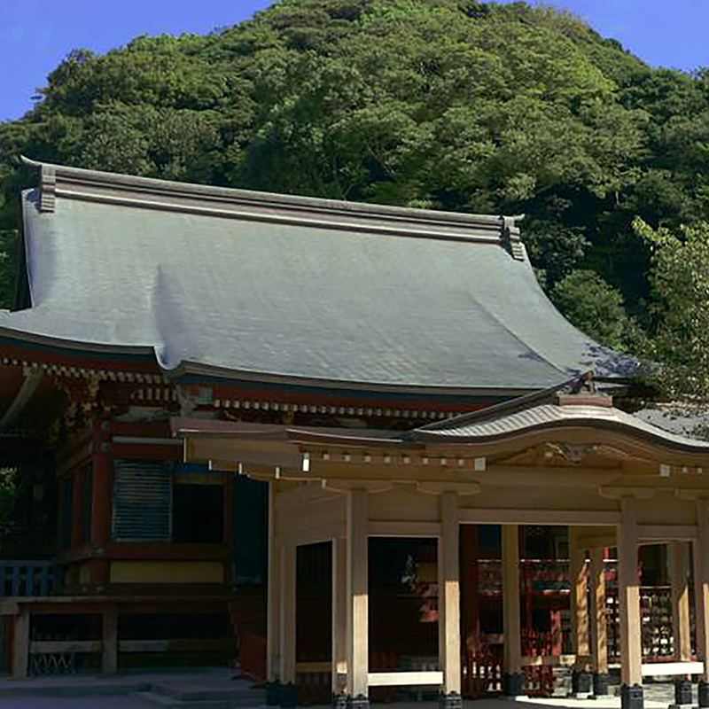 写真の説明を入れます