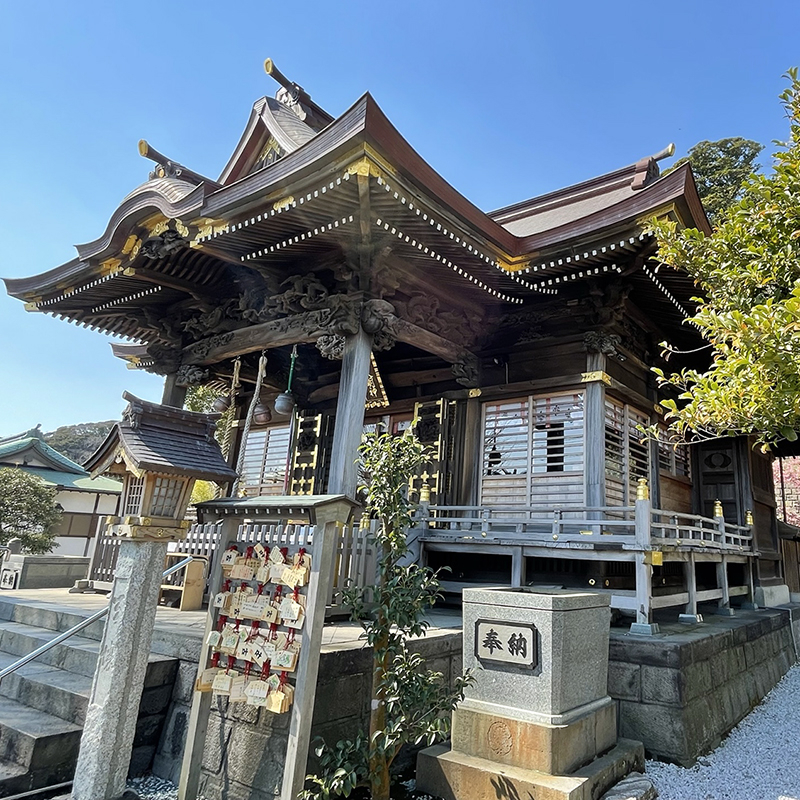 写真の説明を入れます