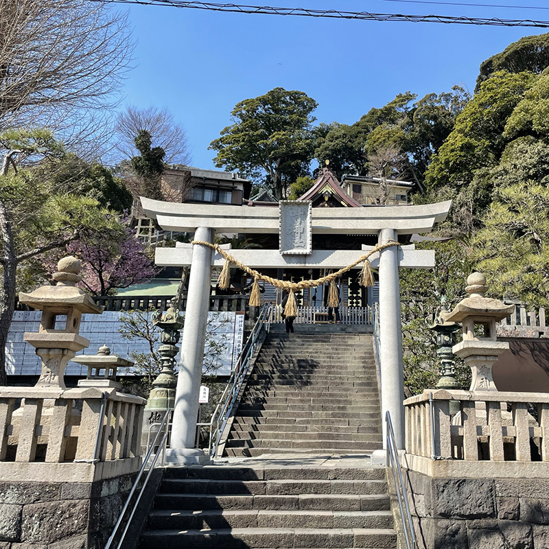 写真の説明を入れます