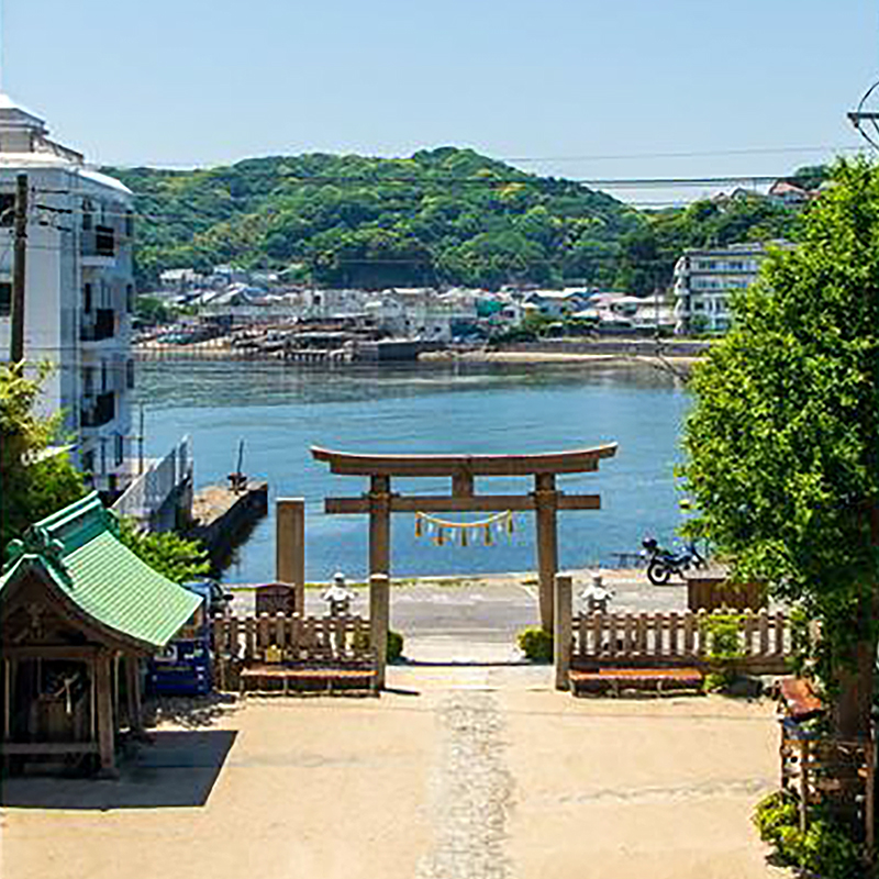 写真の説明を入れます