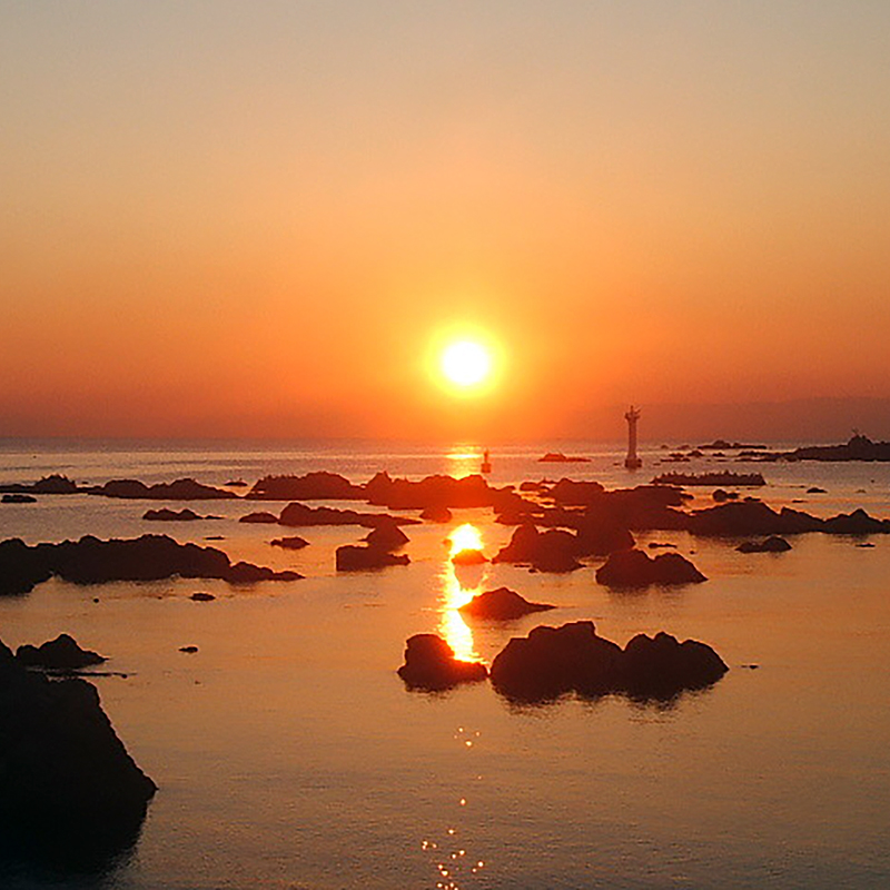 写真の説明を入れます