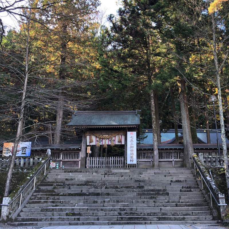 写真の説明を入れます
