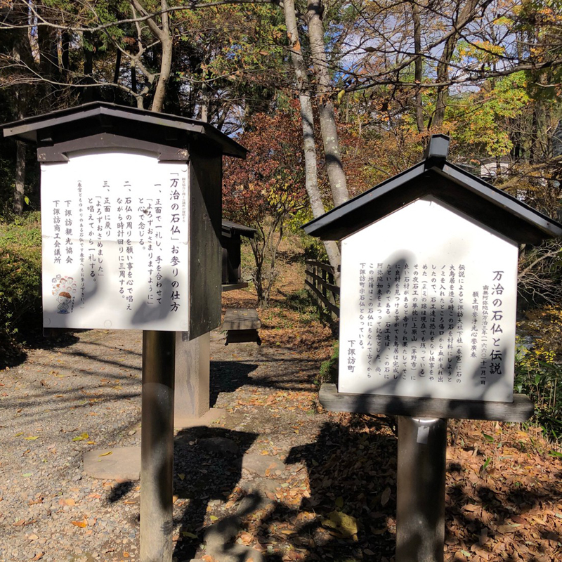 写真の説明を入れます