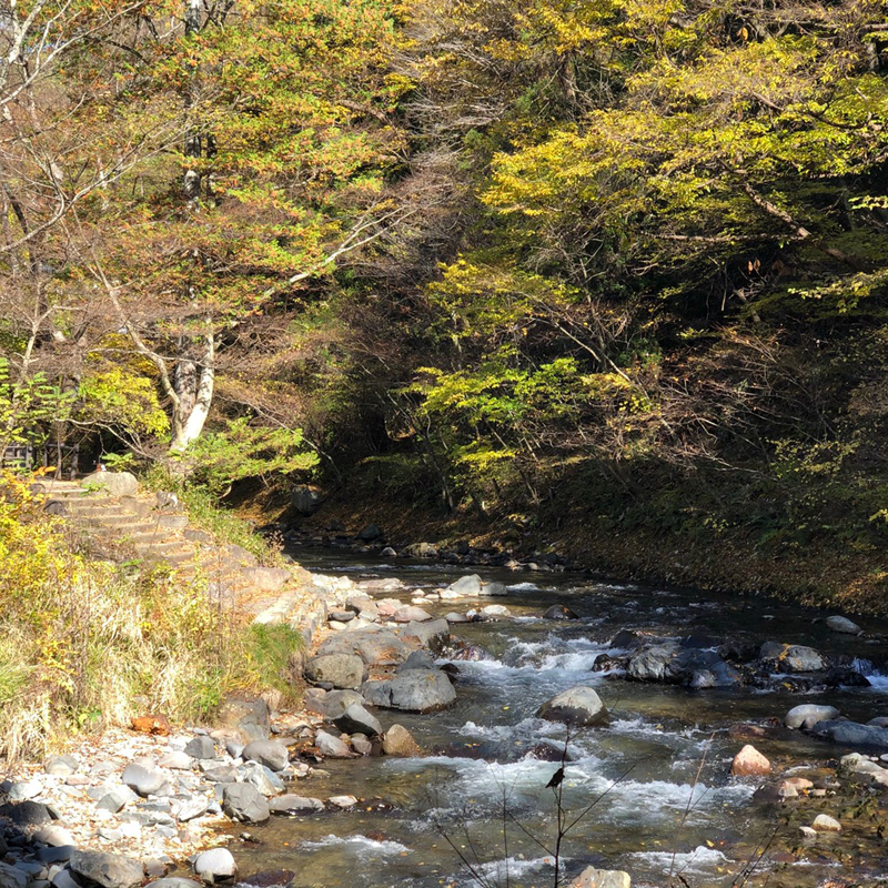 写真の説明を入れます