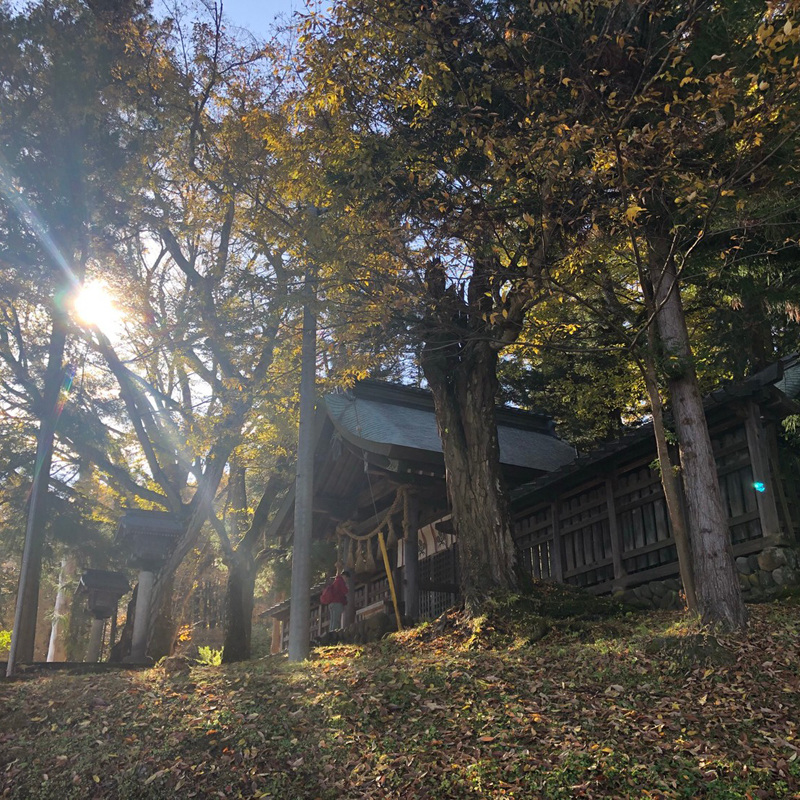 写真の説明を入れます