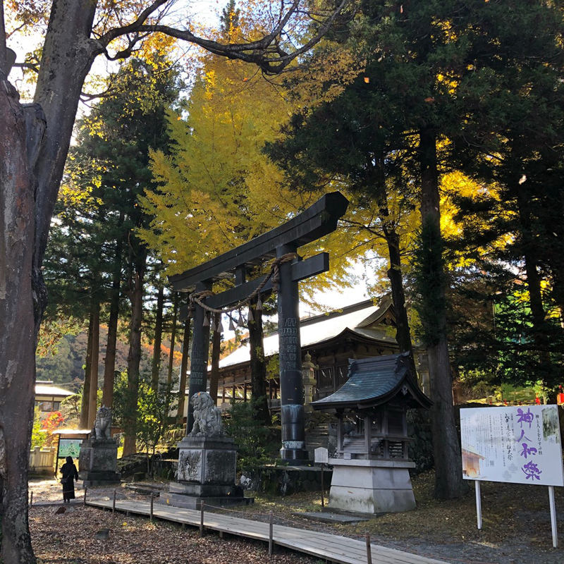 写真の説明を入れます