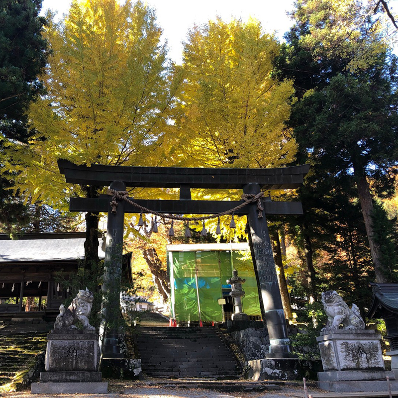 写真の説明を入れます