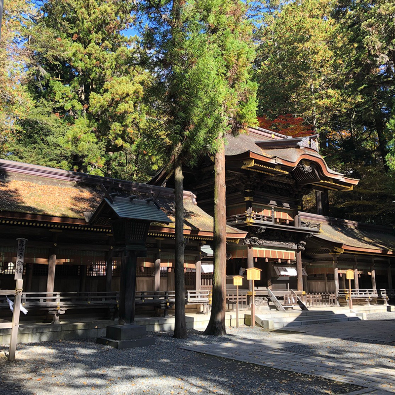 写真の説明を入れます