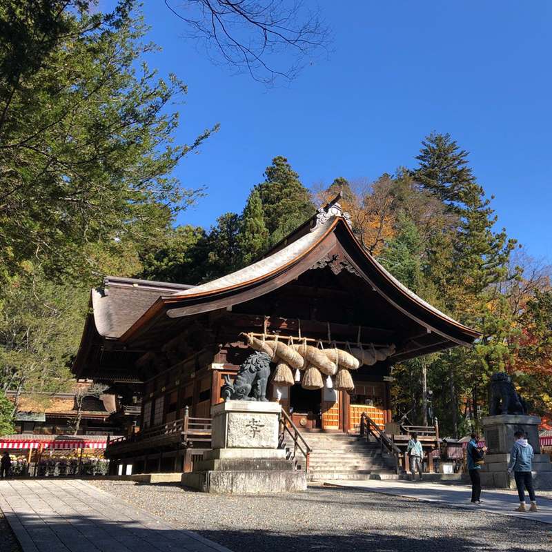 写真の説明を入れます