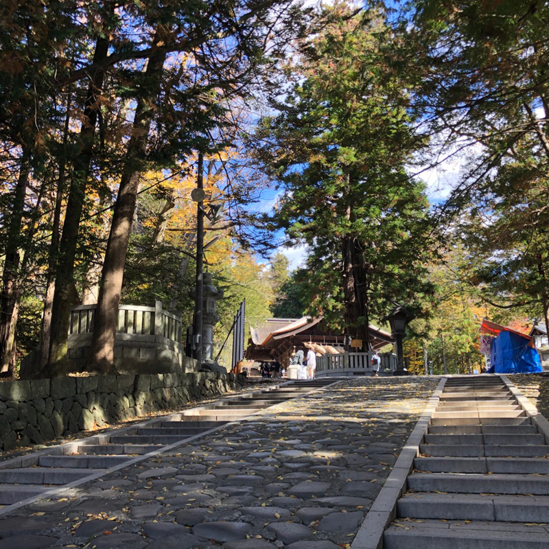 写真の説明を入れます