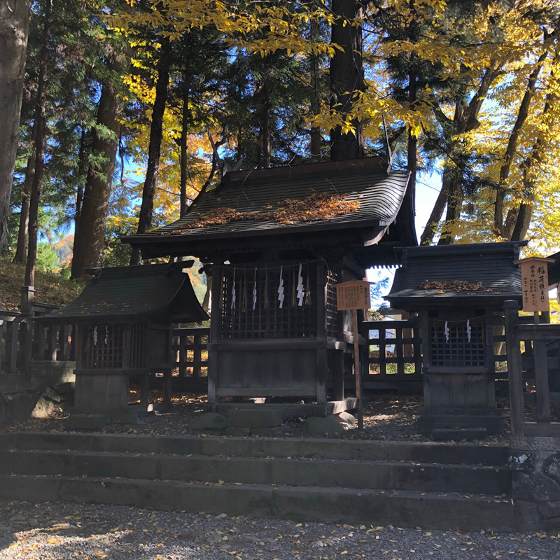 写真の説明を入れます