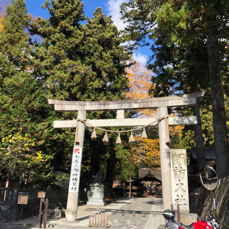 写真の説明を入れます