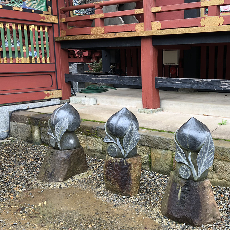 写真の説明を入れます