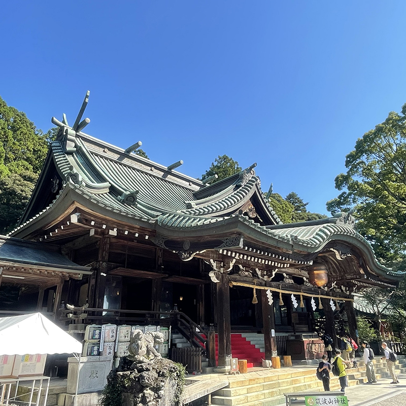 写真の説明を入れます