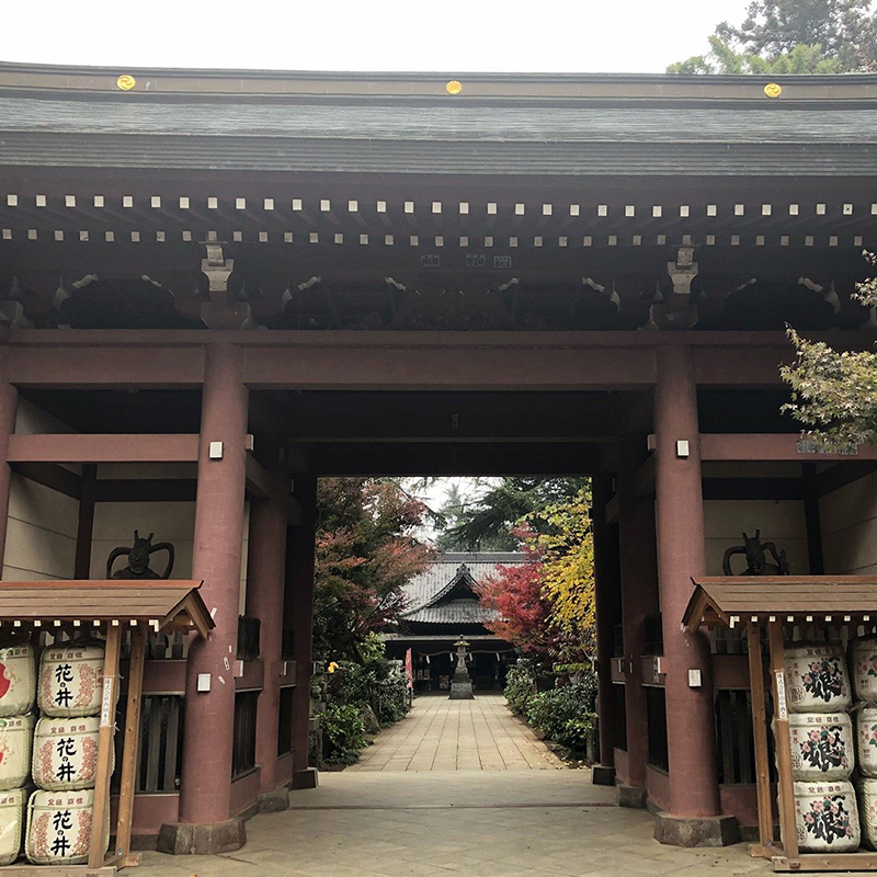 写真の説明を入れます