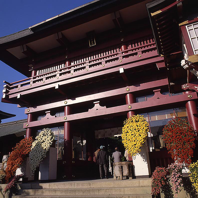 写真の説明を入れます