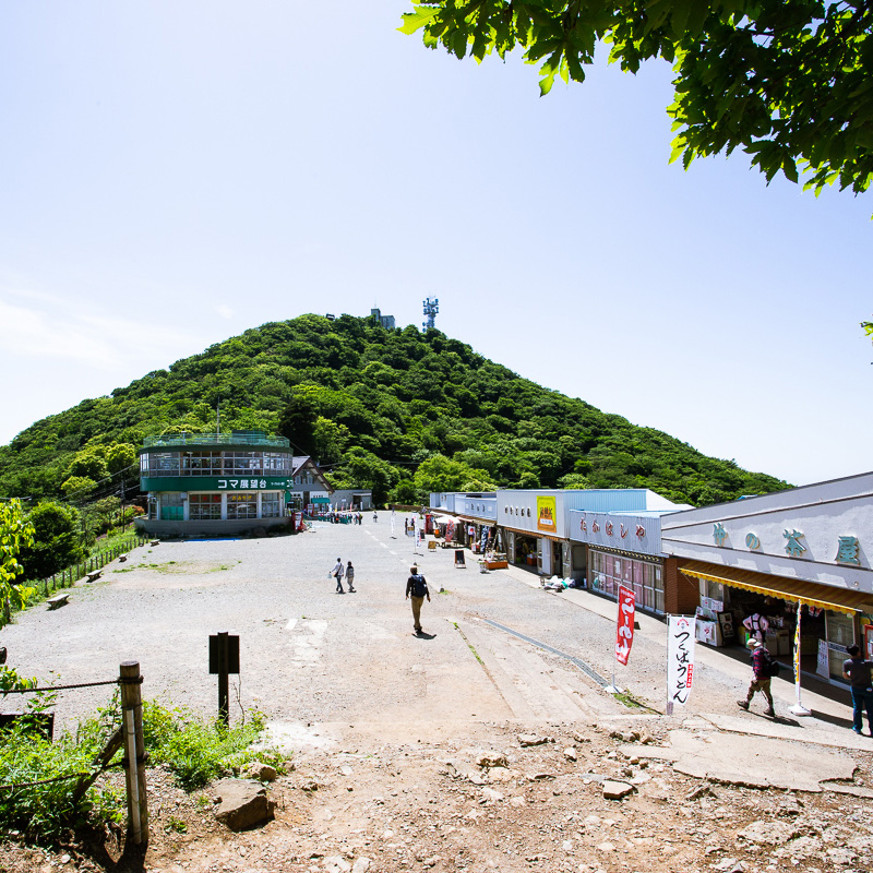 写真の説明を入れます